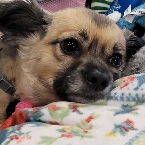 Meet your Posher, Karen